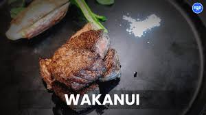 WAKANUI MENU SINGAPORE & UPDATED PRICES 2024