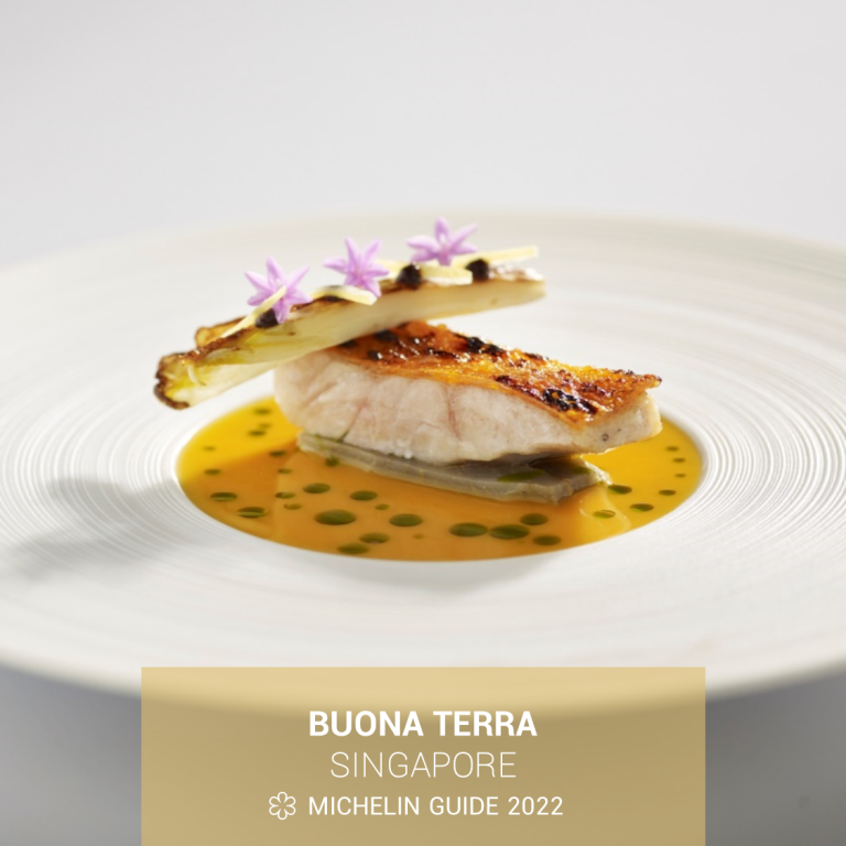 BUONA TERRA MENU SINGAPORE & UPDATED PRICES 2024